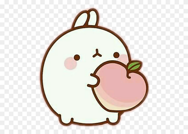 Кролик Моланг