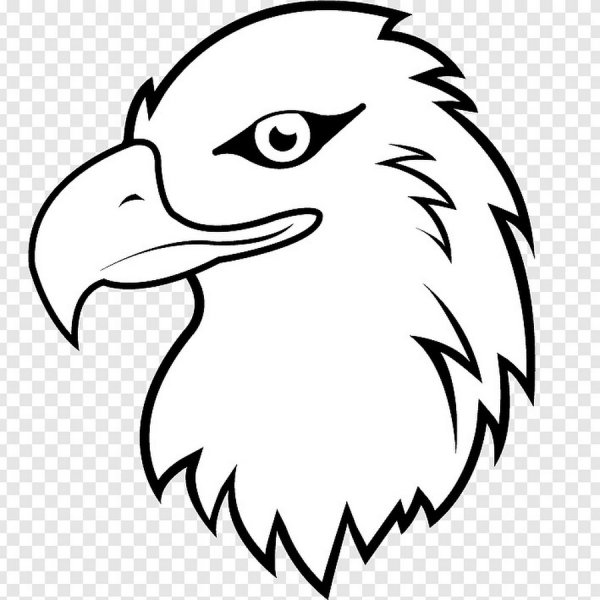 Голова орла