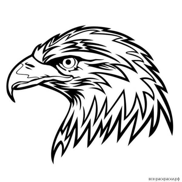 Орел рисунок для детей