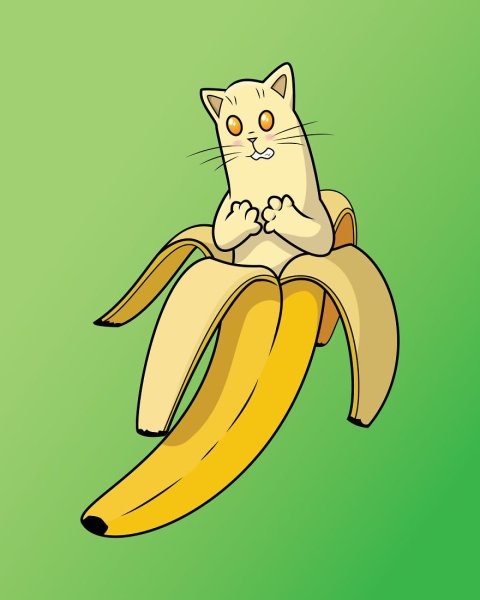 Котик в банане