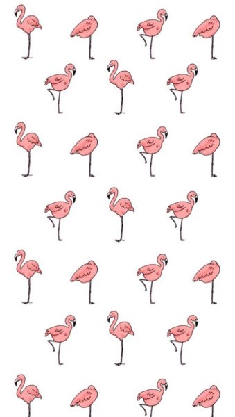 Милый рисуночек Фламинго