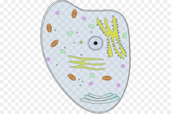 Рисунки связанные с биологией