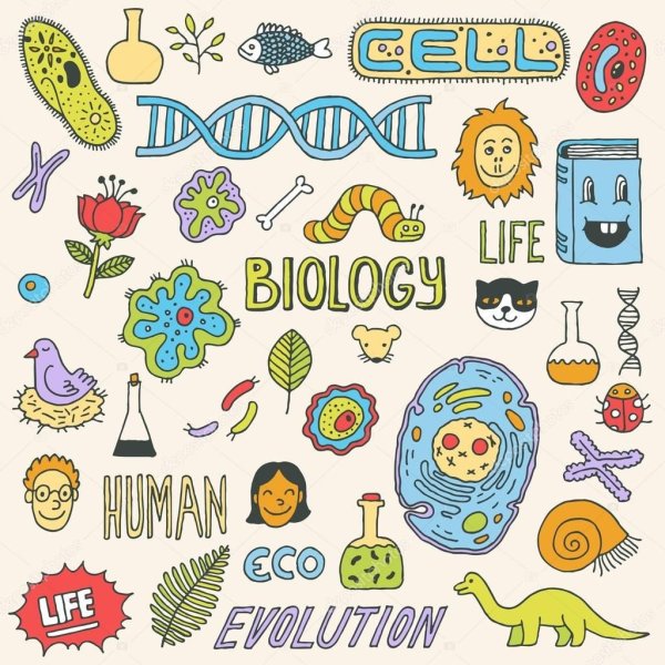 Biology Printable Stickers