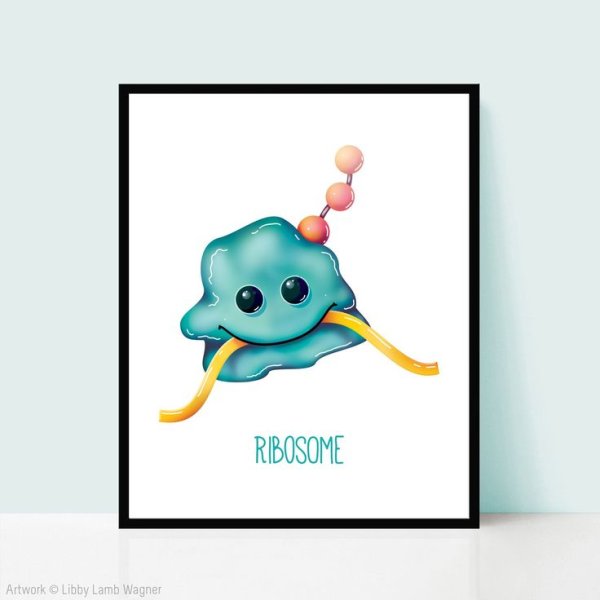 Клетка организма