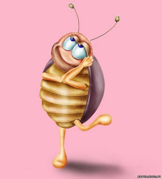 Прикольные жуки