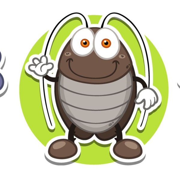 Тараканы мультяшные