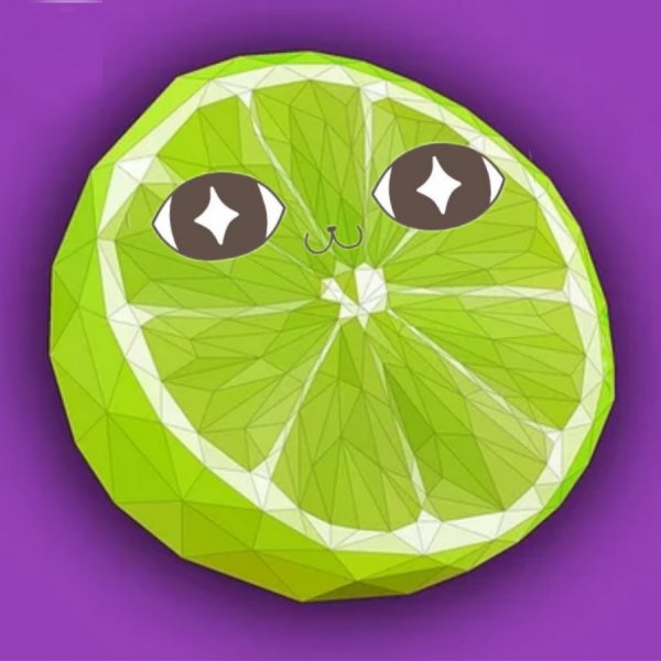 Круглая долька Лайма