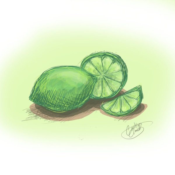 Лайм карандашом