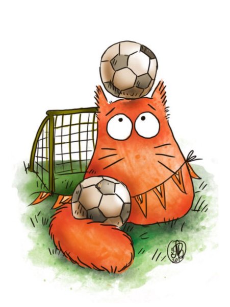 Кот с футбольным мячом