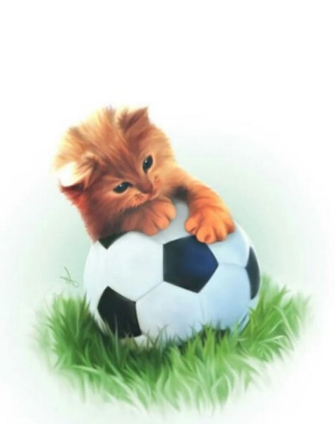 Котенок с мячиком