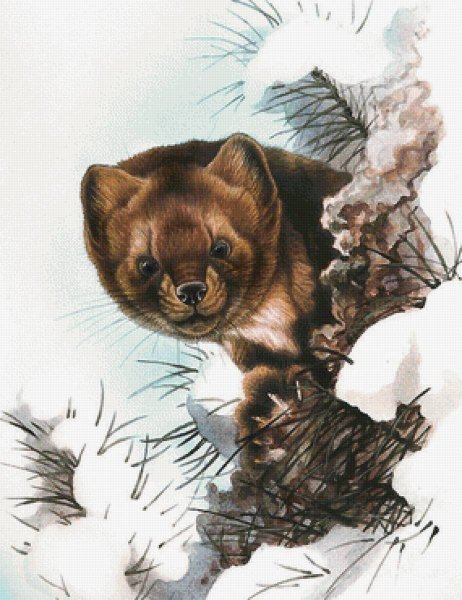 Иллюстратор Александр Дегтев