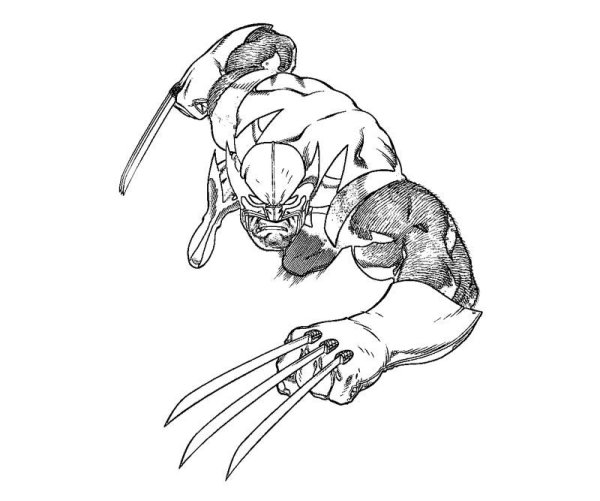 Росомаха раскраска