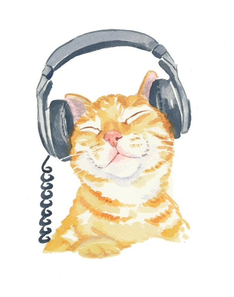Котик с наушниками