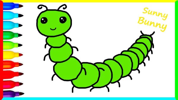 Как двумя цветами раскрасить гусеничку