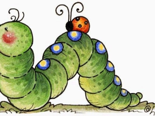 Весёлая гусеница