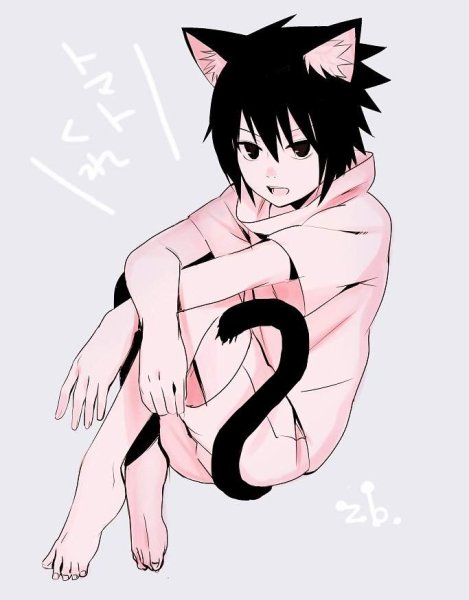 Наруто и Саске неко