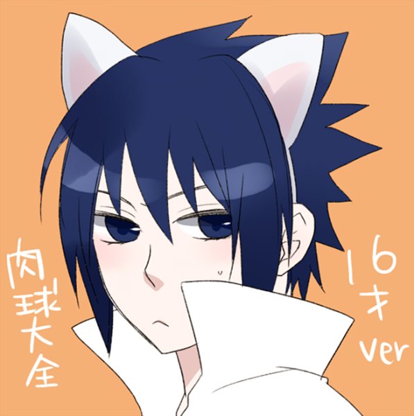 Саске котик