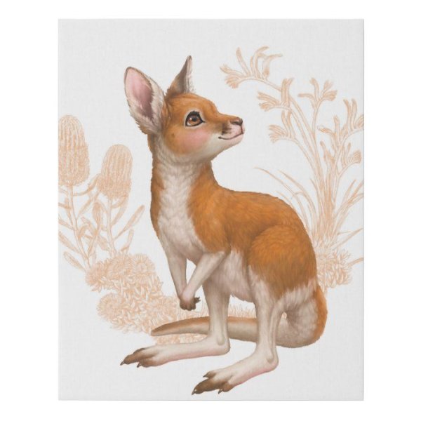 Милые иллюстрации кенгуру