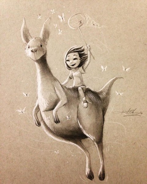 Милые иллюстрации кенгуру