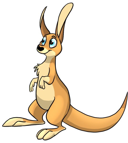 Кенгуру рисунок