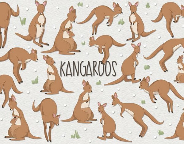 Много кенгуру рисунки