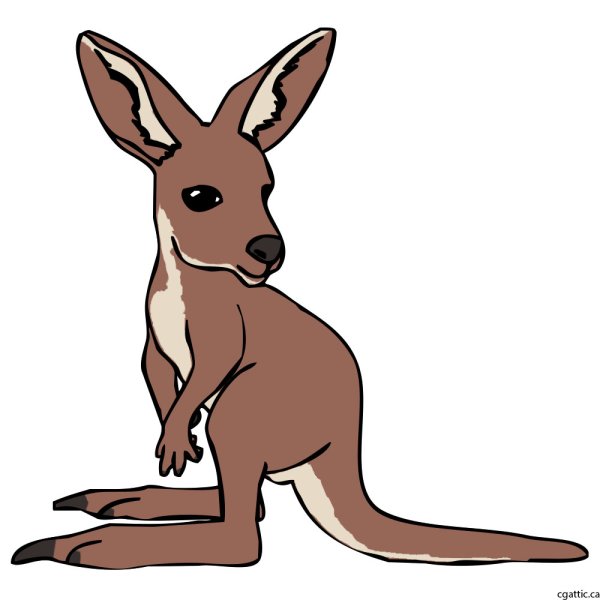 Kangaroo мультяшный