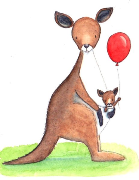 Кенгуру рисунок