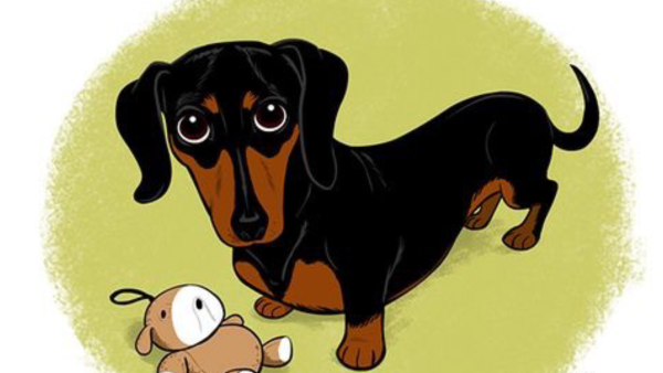 Мультяшные таксы