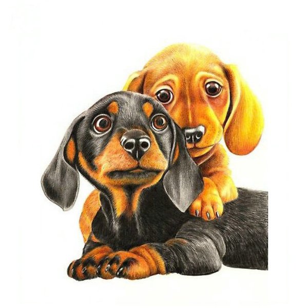 Милые рисуночки такс