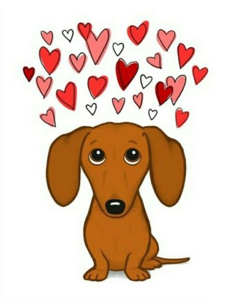 Такса с сердечком