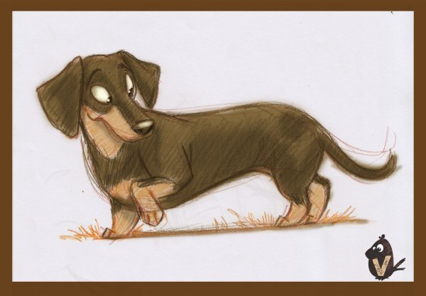 Новогодняя открытка с таксой