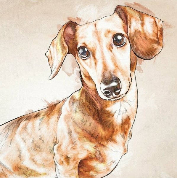 Такса картина