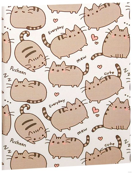 Изображение для обложки с котиками