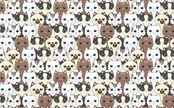 Принты с котиками