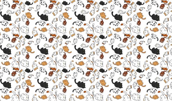 Принты с кошками