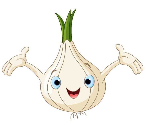 Чеснок рисунок для детей