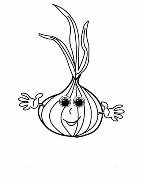 Луковица рисунок