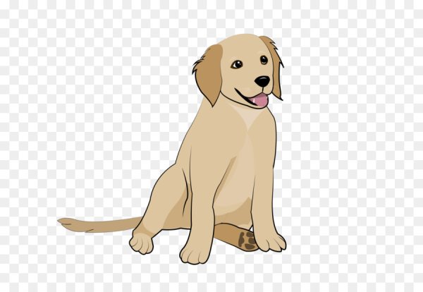 Лабрадор щенок вектор