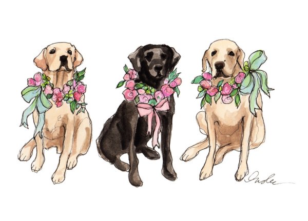 Иллюстрация модная собака