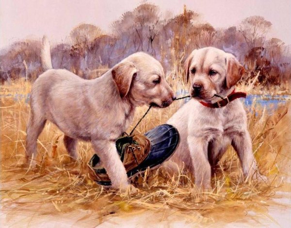 Джим Киллен художник