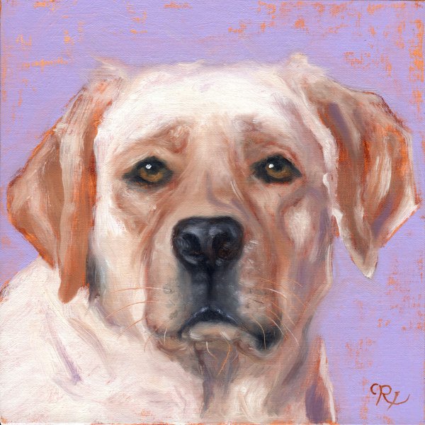 Лабрадор ретривер арт