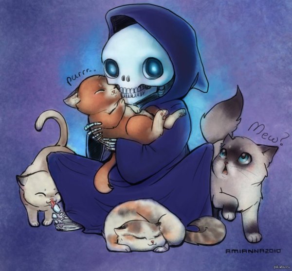 Смерть и котики плоский мир