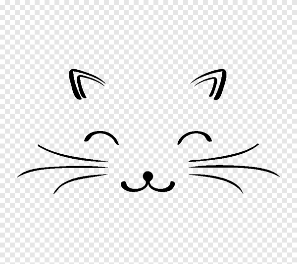 Мордочка котика легкая