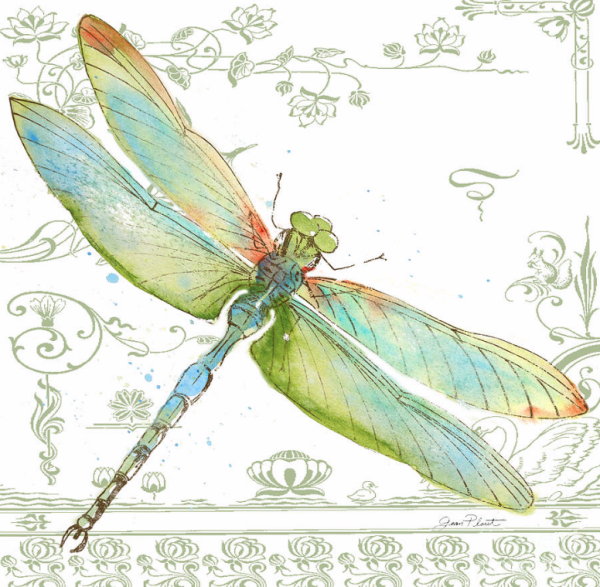 Стрекоза Сказочная