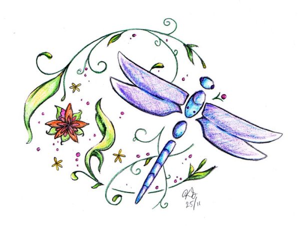 Красивая Стрекоза рисунок