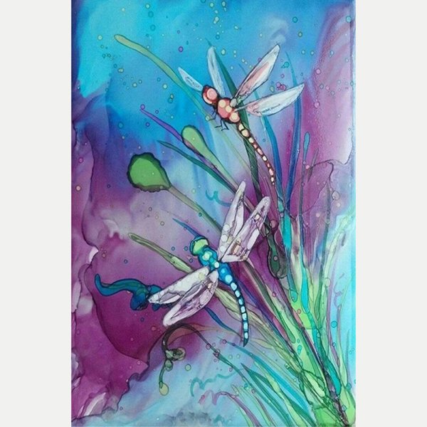 Стрекоза на белом фоне