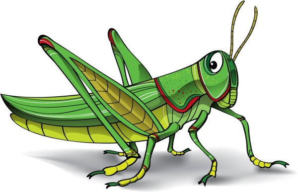 Кузнечик вектор