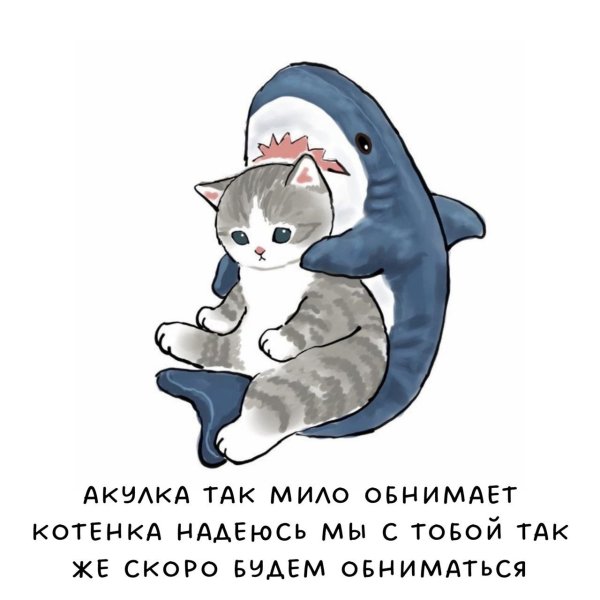 Пикча я тебя люблю