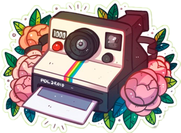 Полароиды рисунки
