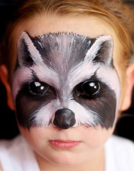 Аквагрим енот